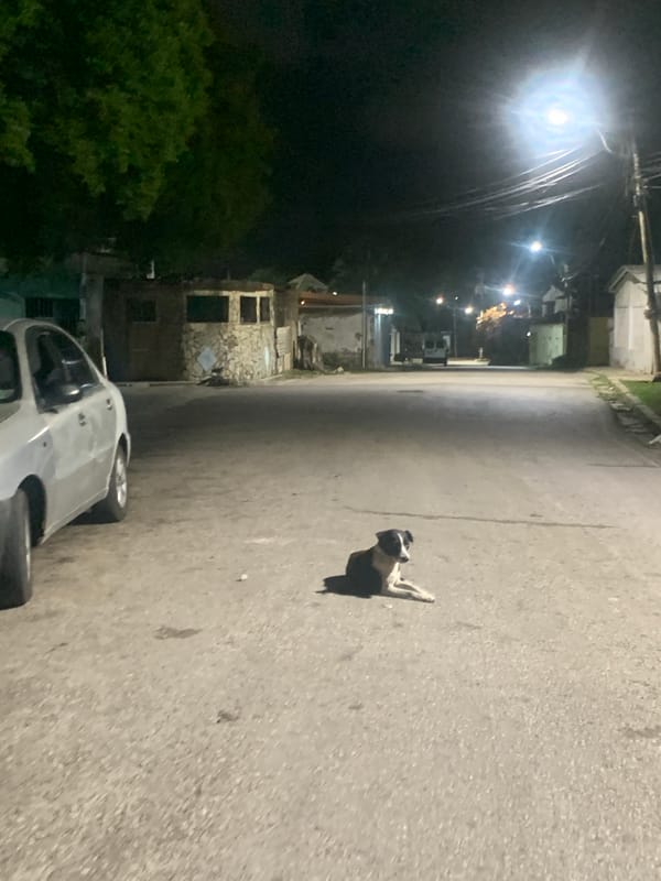 Late-night walk documented through Santa Ana, Venezuela streets