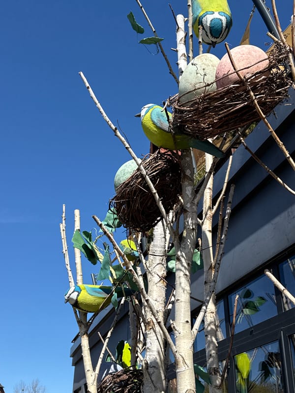 Tourist documents Kaliningrad landmarks and street decorations during morning walk
