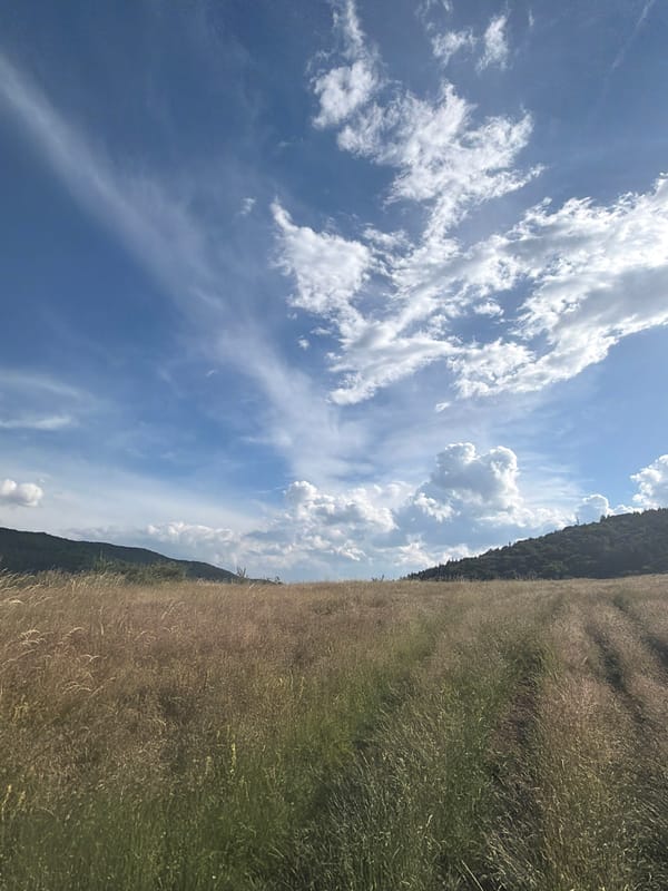 Sunny meadow and mountain views on Sofia's outskirts
