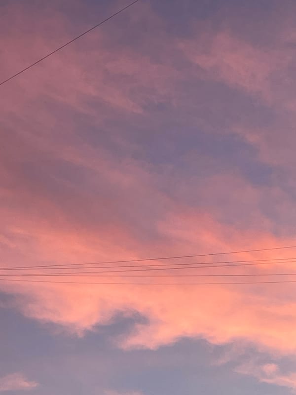 Sunset and dogs playing captured in Samara, Russia