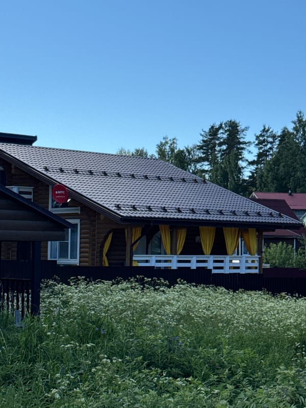 Summer afternoon in a Russian village: gardens, flowers, and local life
