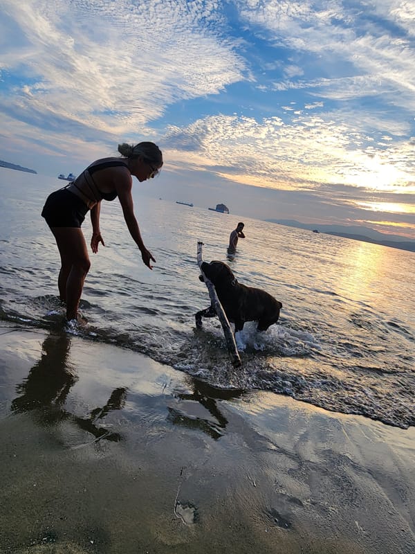 Beach day with a dog in the shallows and paddleboard nearby