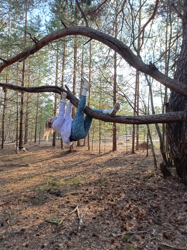 Women climb trees, feed beagle during forest outing near Markovskii