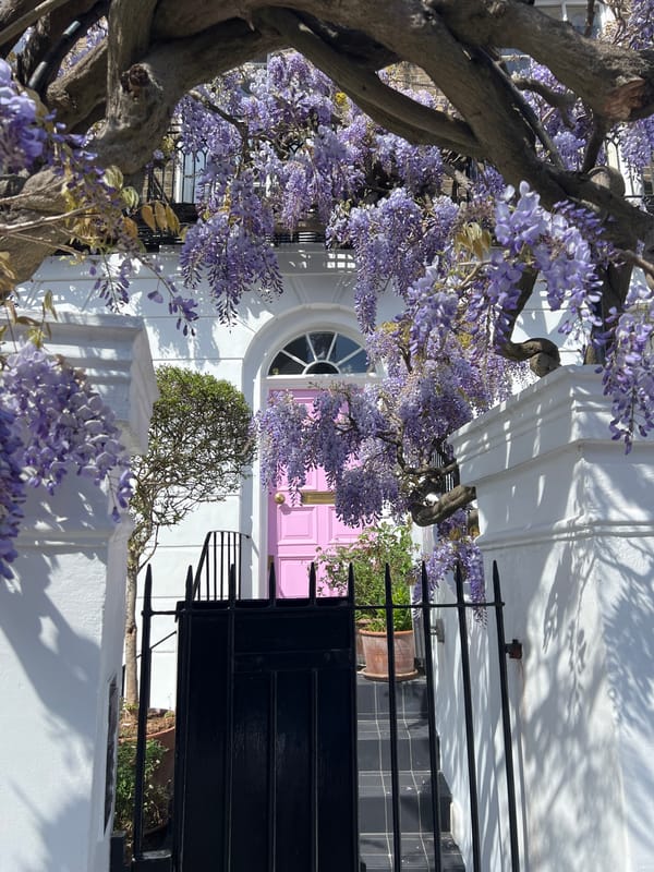 London streetscapes and buildings photographed during spring afternoon