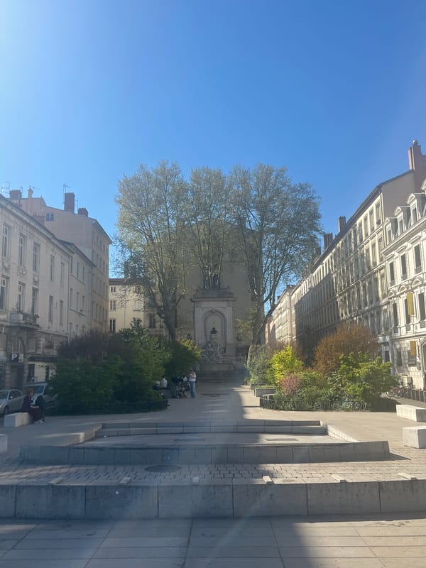 Afternoon street scenes documented across sunny Lyon, France