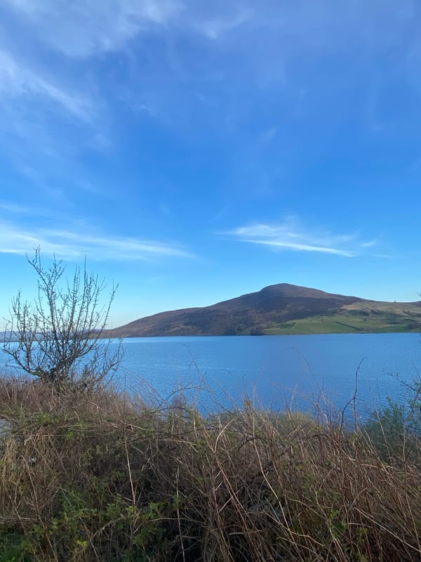 Witness captures lakeside landscape view in Bala, UK