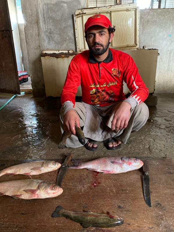 Fish processing operation documented in Deh Sabzi, Afghanistan