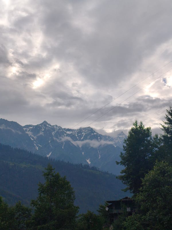 Dogs, mountains, and a quiet afternoon in Vashisht