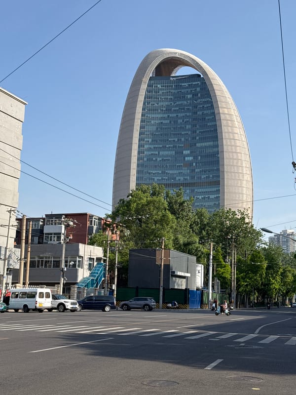 Morning cyclist spotted on tree-lined street in Beijing's Chaoyang District