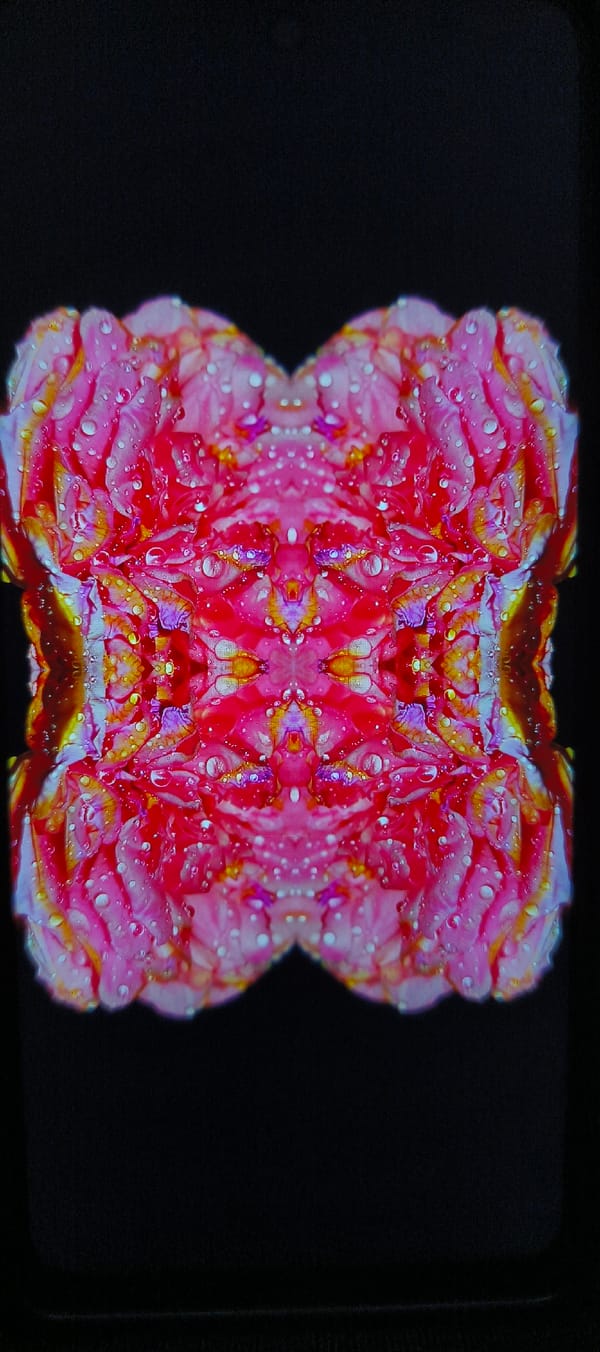 Bangkok witness captures artistic mirrored flower photography session
