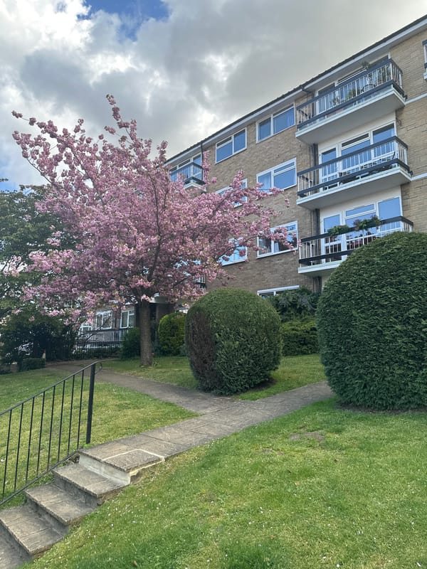 Multi-story brick residential building observed in London neighborhood