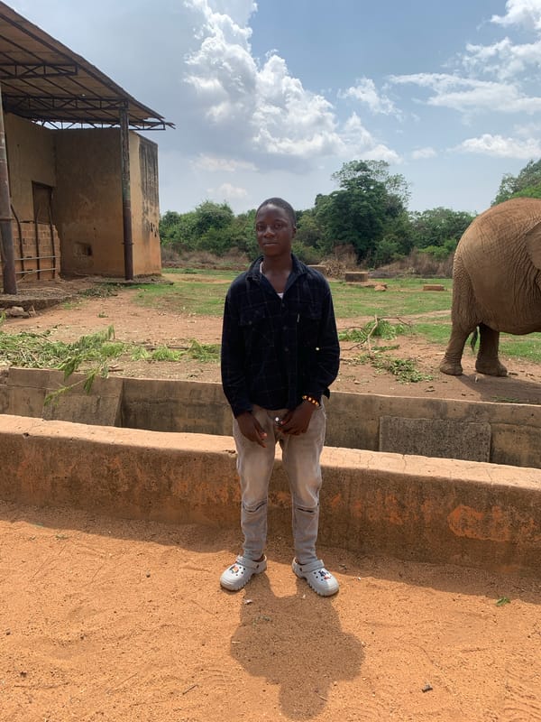 Families visit elephant exhibits at Jos Wildlife Park