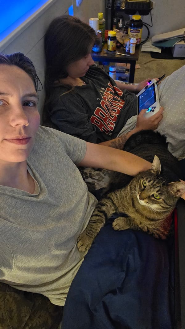 Late-night hang at home with a tabby cat in Portland