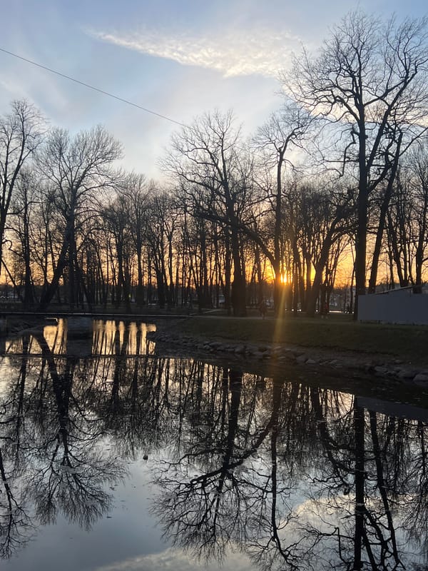 Evening wildlife and joggers observed along Saint Petersburg canal