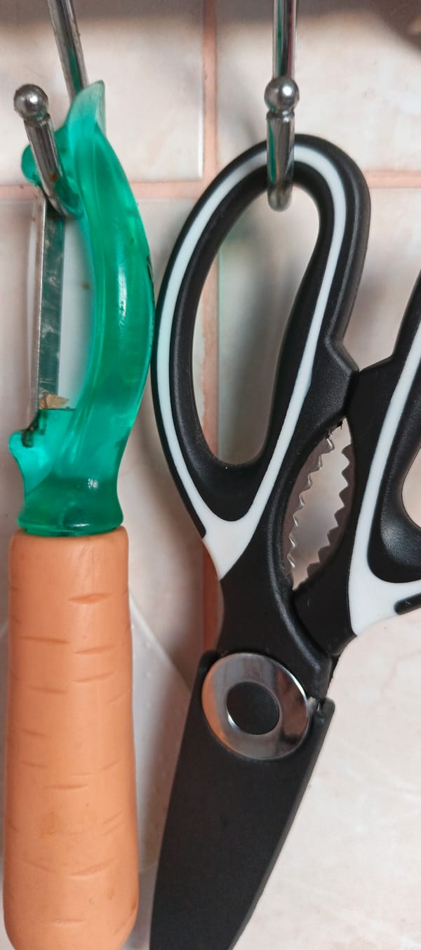 Witness Documents 30 Household Objects in Tikhvin Home