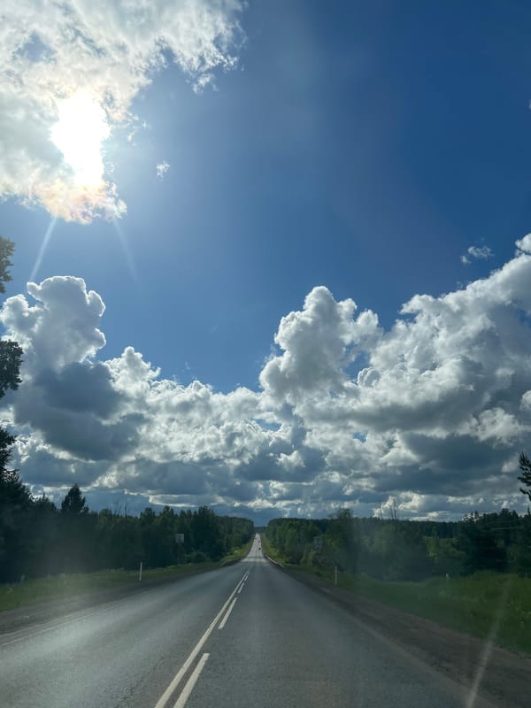 Casual nature walk documented in Chaikovsky, Russia