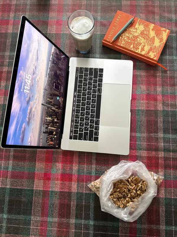 Evening moments captured: laptop display and blooming flowers in Coquitlam