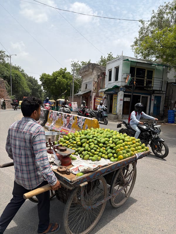 Morning street life documented across Delhi neighborhoods