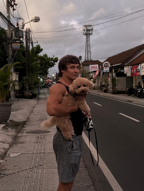 Man walks dogs during sunset in Dalung, Indonesia