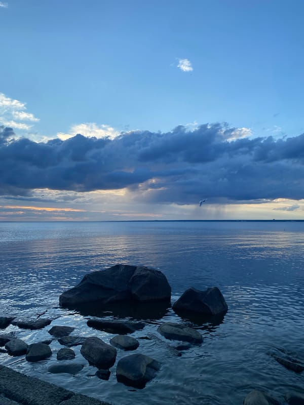 Dusk on the Gulf of Finland, rocky shore near Sestroretsk