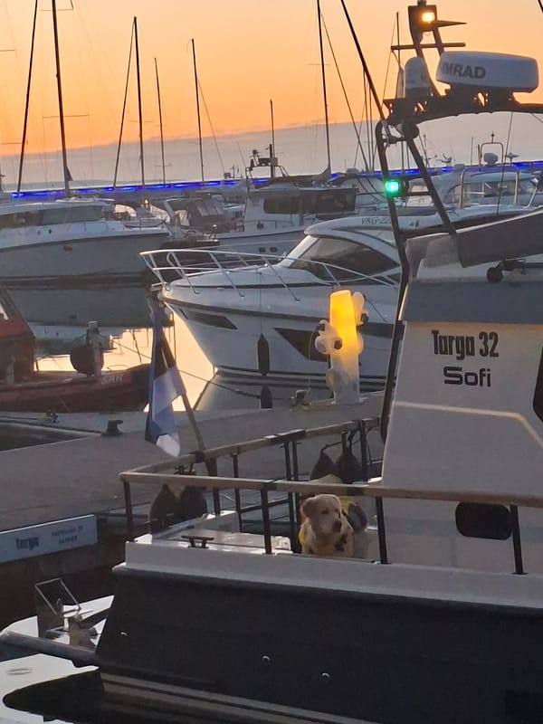 Tallinn Marina District Documented During June Evening Twilight