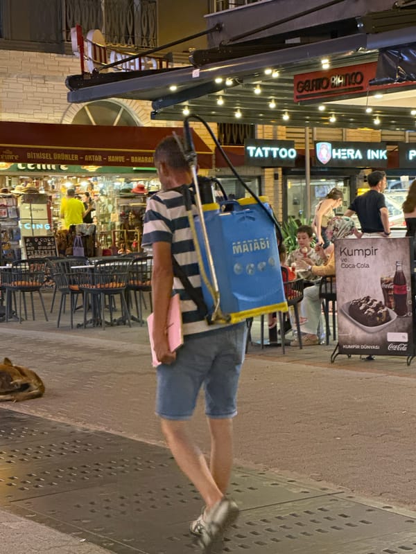 Evening street life along a lit-up strip in Fethiye