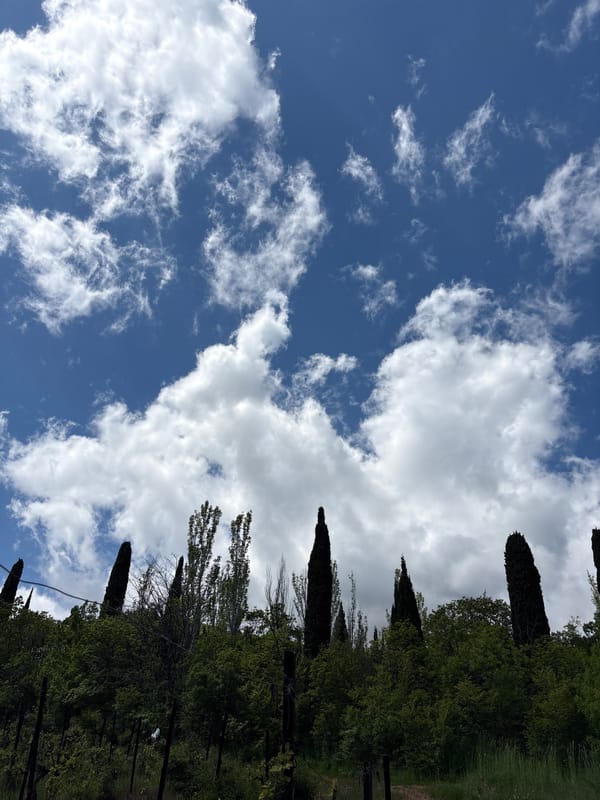 Clear skies with scattered clouds observed in Chaika, Ukraine