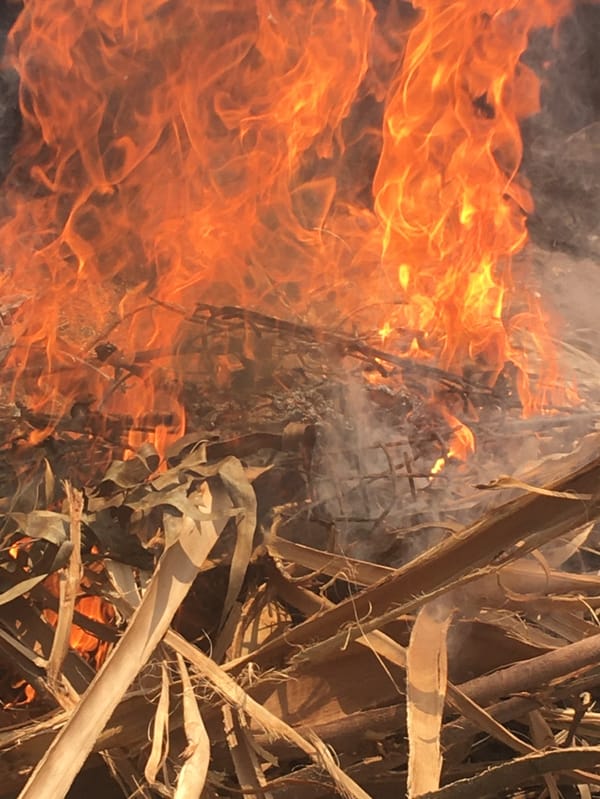 Small farm operations documented in rural Ndeiya, Kenya