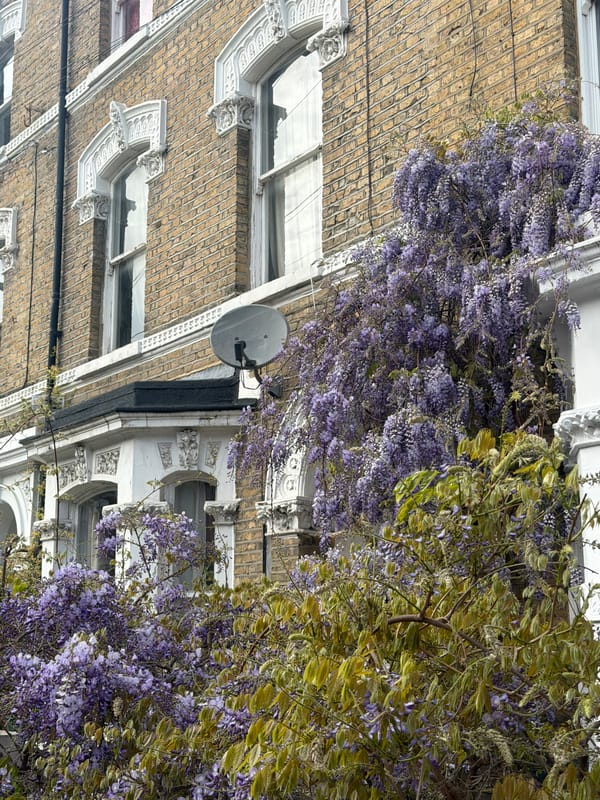 London brick row house photographed with decorative white trim
