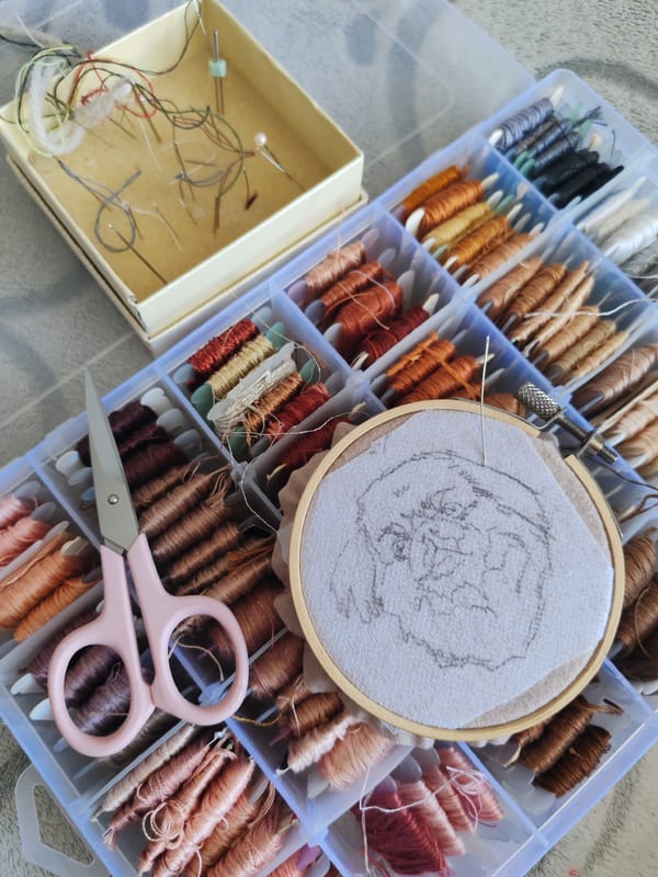 Embroidery work documented in Ust-Ilimsk, Russia