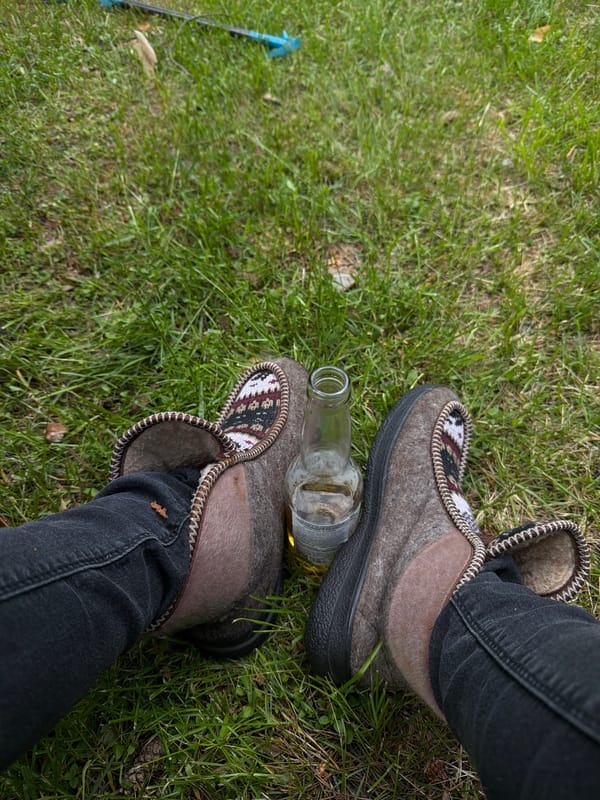 Backyard gathering documented in suburban Russia with wildlife encounters