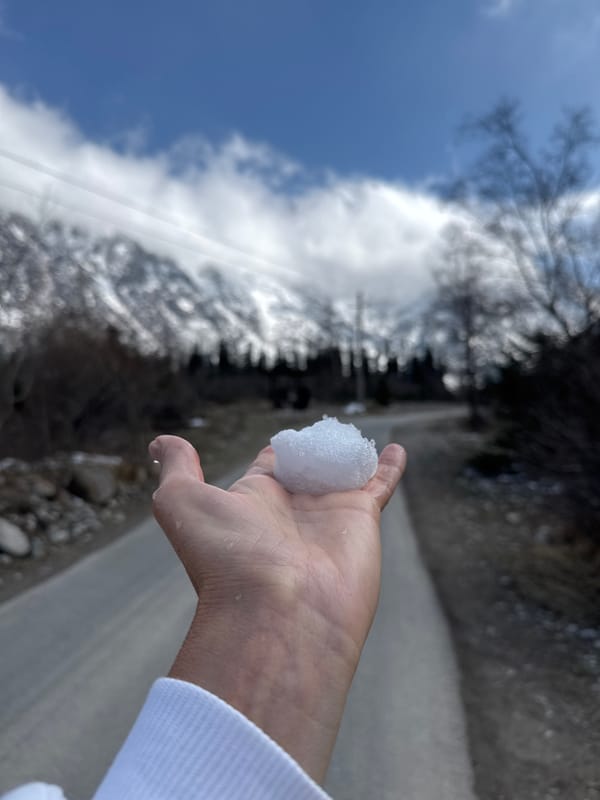 Tourists explore snowy Kyrgyzstan mountains, feed wildlife on spring morning