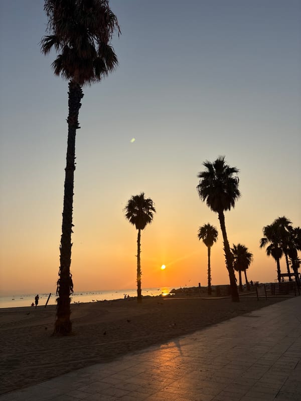 Sunset colors over Barceloneta Beach, Barcelona