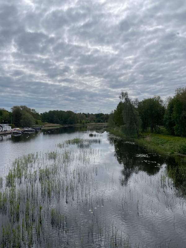 Morning canal views captured in Tallinn, Estonia