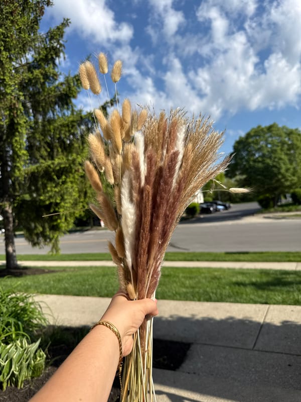Person arranges dried ornamental grasses outdoors in Columbus