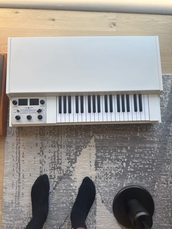 Mellotron keyboard, rhinestone basketball documented in late-night Los Angeles session