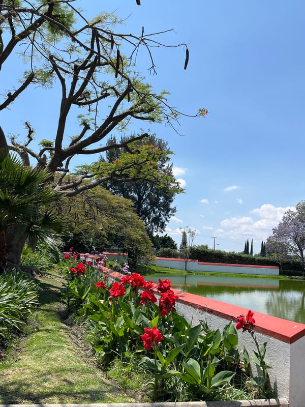 Garden and golf cart area documented in Atlixco