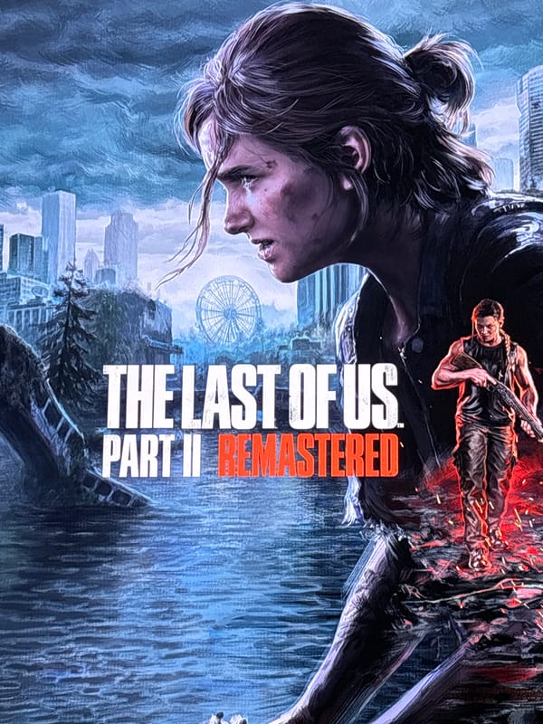Video game cover art documented in Santa Clara Ocoyucan