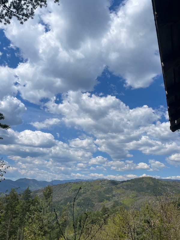 Morning hike documented through Bulgarian mountain forests and scenic overlooks