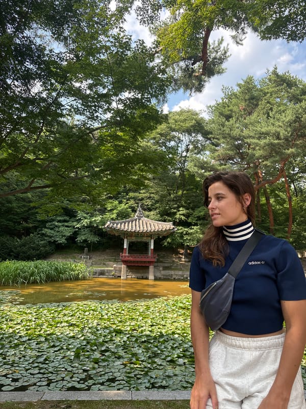 Morning walk through Changdeokgung Palace's Secret Garden, Seoul