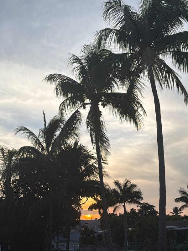 Sunset stroll along Miami's rocky waterfront edge