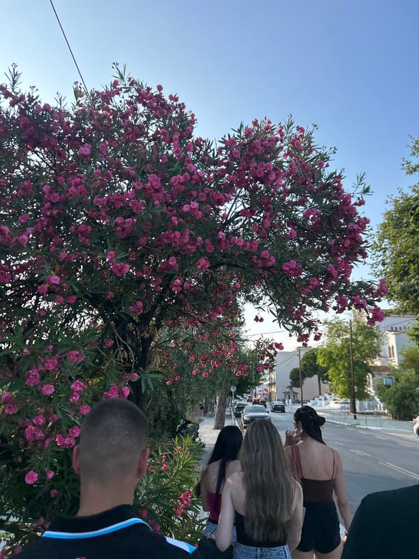 Afternoon in a Greek village: churches, shrines, and quiet roads