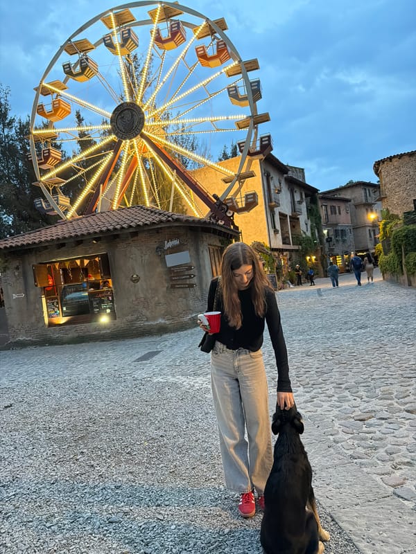 Woman pets dog near lit Ferris wheel in Mexican town square