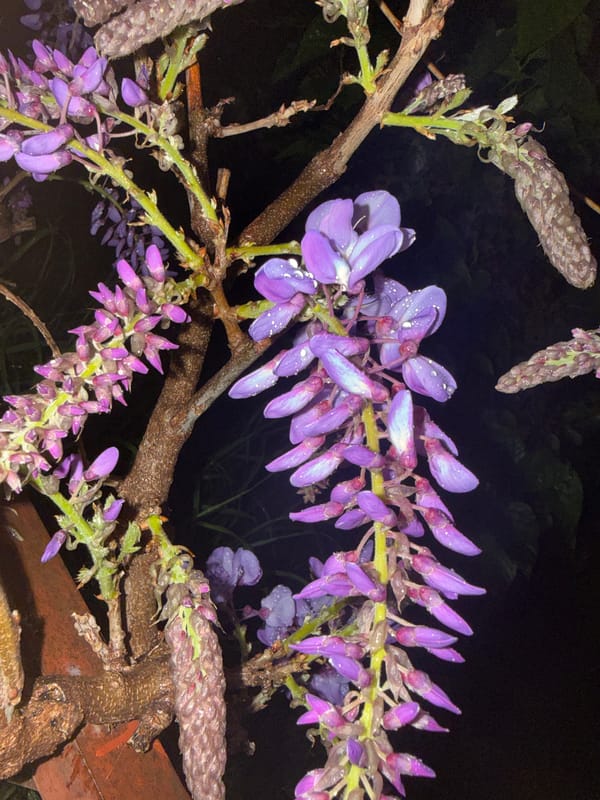Evening snapshots capture daily life moments in Alanya, Turkey
