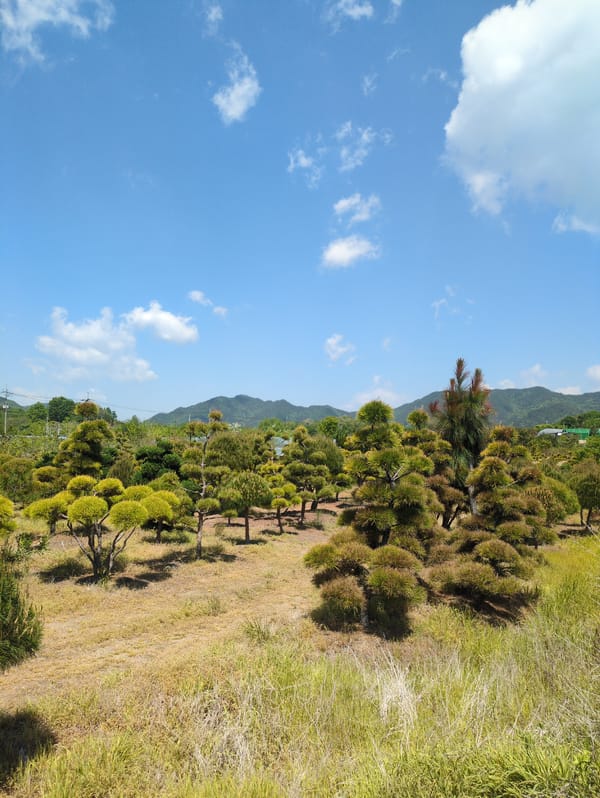 Rural landscapes and roadside scenes documented in Iwon, South Korea