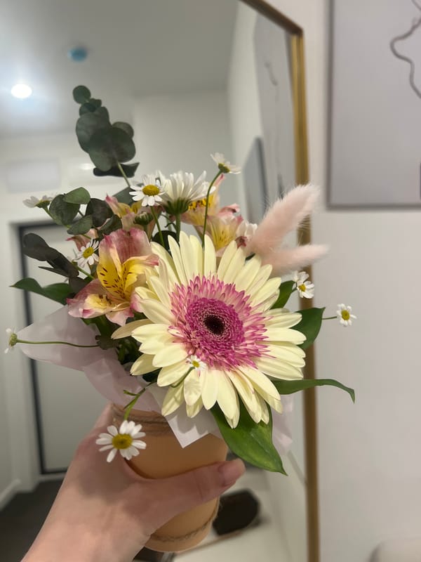 Indoor flower arrangement with cat documented in Tyumen, Russia