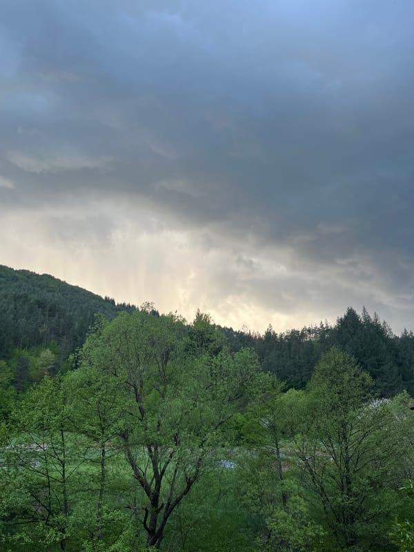 Spring blooms and cloudy skies documented in Chepintsi, Bulgaria