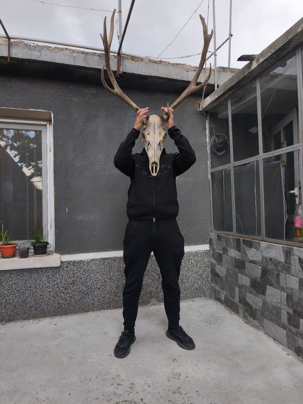 Witness documents deer skulls, gardens, memorials across afternoon timespan