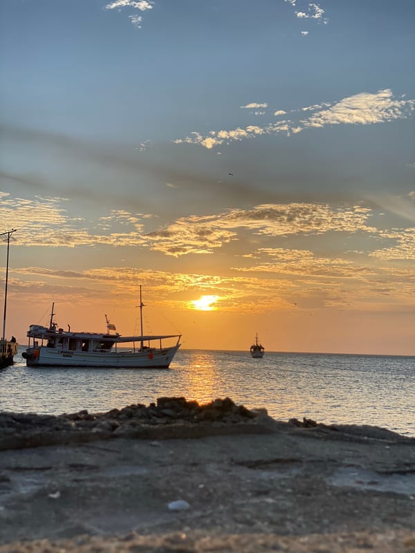 Coastal scene photographed from Juan Griego, Venezuela