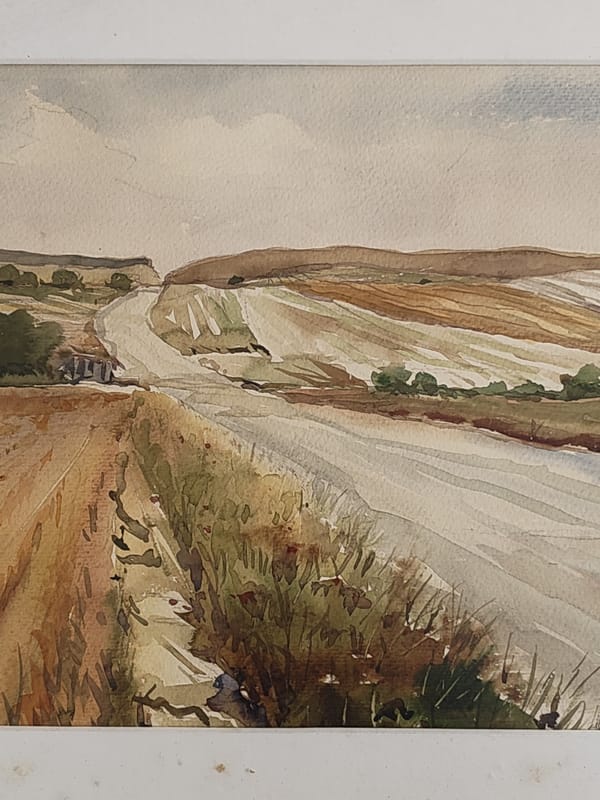 Artist captures Mediterranean rural scenes in Spanish coastal paintings